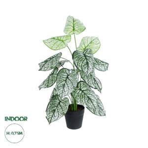 glo-20908-20908_0 GLOBOSTAR® ARTIFICIAL GARDEN CALADIUM 20908 ΔΙΑΚΟΣΜΗΤΙΚΟ ΦΥΤΟ ΚΑΛΑΔΙΑ Υ75CM