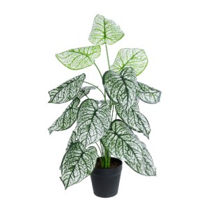 glo-20908-20908_2 GLOBOSTAR® ARTIFICIAL GARDEN CALADIUM 20908 ΔΙΑΚΟΣΜΗΤΙΚΟ ΦΥΤΟ ΚΑΛΑΔΙΑ Υ75CM