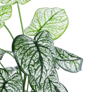 glo-20908-20908_3 GLOBOSTAR® ARTIFICIAL GARDEN CALADIUM 20908 ΔΙΑΚΟΣΜΗΤΙΚΟ ΦΥΤΟ ΚΑΛΑΔΙΑ Υ75CM