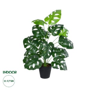 glo-20909-20909_0 GLOBOSTAR® ARTIFICIAL GARDEN MONSTERA PLANT 20909 - ΔΙΑΚΟΣΜΗΤΙΚΟ ΦΥΤΟ ΜΟΝΣΤΕΡΑ Φ50 X Υ75CM