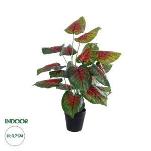 glo-20911-20911_0 GLOBOSTAR® ARTIFICIAL GARDEN CALADIUM MIX 20911 ΔΙΑΚΟΣΜΗΤΙΚΟ ΦΥΤΟ ΚΑΛΑΝΤΙΟΥΜ Υ75CM