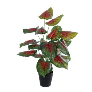 glo-20911-20911_2 GLOBOSTAR® ARTIFICIAL GARDEN CALADIUM MIX 20911 ΔΙΑΚΟΣΜΗΤΙΚΟ ΦΥΤΟ ΚΑΛΑΝΤΙΟΥΜ Υ75CM