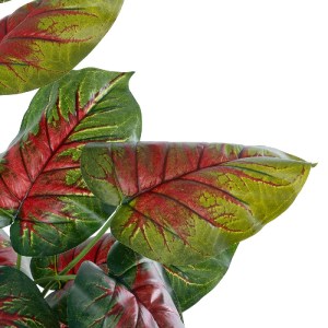 glo-20911-20911_3 GLOBOSTAR® ARTIFICIAL GARDEN CALADIUM MIX 20911 ΔΙΑΚΟΣΜΗΤΙΚΟ ΦΥΤΟ ΚΑΛΑΝΤΙΟΥΜ Υ75CM