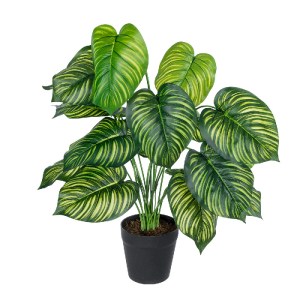 glo-20912-20912_2 GLOBOSTAR® ARTIFICIAL GARDEN CALATHEA PLANT 20912 ΔΙΑΚΟΣΜΗΤΙΚΟ ΦΥΤΟ ΚΑΛΑΘΕΑ Φ55 X Υ75CM