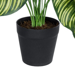 glo-20912-20912_4 GLOBOSTAR® ARTIFICIAL GARDEN CALATHEA PLANT 20912 ΔΙΑΚΟΣΜΗΤΙΚΟ ΦΥΤΟ ΚΑΛΑΘΕΑ Φ55 X Υ75CM