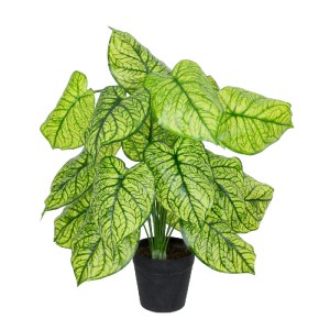glo-20913-20913_2 GLOBOSTAR® ARTIFICIAL GARDEN CALADIUM PLANT 20913 ΔΙΑΚΟΣΜΗΤΙΚΟ ΦΥΤΟ ΚΑΛΑΝΤΙΟΥΜ Φ55 X Υ75CM