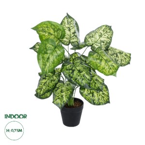 glo-20914-20914_0 GLOBOSTAR® ARTIFICIAL GARDEN DIEFFENBACHIA PLANT 20914 ΔΙΑΚΟΣΜΗΤΙΚΟ ΦΥΤΟ ΔΙΦΕΝΜΠΑΧΙΑ Φ58 X