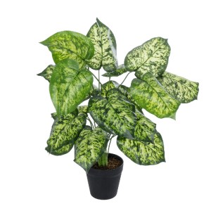 glo-20914-20914_2 GLOBOSTAR® ARTIFICIAL GARDEN DIEFFENBACHIA PLANT 20914 ΔΙΑΚΟΣΜΗΤΙΚΟ ΦΥΤΟ ΔΙΦΕΝΜΠΑΧΙΑ Φ58 X