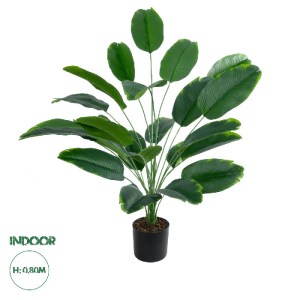 glo-20916-20916_0 GLOBOSTAR® ARTIFICIAL GARDEN YOUNG BANANA PLANT 20916 - ΔΙΑΚΟΣΜΗΤΙΚΟ ΦΥΤΟ ΝΕΑΡΗ ΜΠΑΝΑΝΙΑ Φ