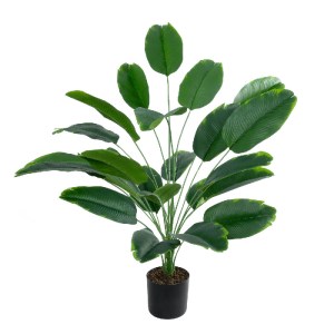 glo-20916-20916_2 GLOBOSTAR® ARTIFICIAL GARDEN YOUNG BANANA PLANT 20916 - ΔΙΑΚΟΣΜΗΤΙΚΟ ΦΥΤΟ ΝΕΑΡΗ ΜΠΑΝΑΝΙΑ Φ