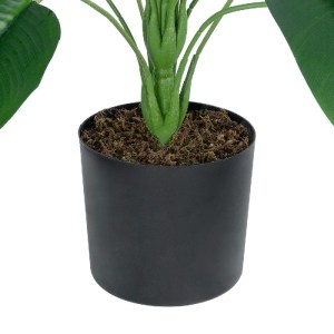 glo-20916-20916_4 GLOBOSTAR® ARTIFICIAL GARDEN YOUNG BANANA PLANT 20916 - ΔΙΑΚΟΣΜΗΤΙΚΟ ΦΥΤΟ ΝΕΑΡΗ ΜΠΑΝΑΝΙΑ Φ