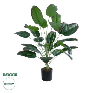 glo-20917-20917_0 GLOBOSTAR® ARTIFICIAL GARDEN OLD BANANA PLANT 20917 - ΔΙΑΚΟΣΜΗΤΙΚΟ ΦΥΤΟ ΩΡΙΜΗ ΜΠΑΝΑΝΙΑ Φ90