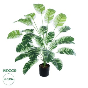 glo-20918-20918_0 GLOBOSTAR® ARTIFICIAL GARDEN BANANA ZEBRA PLANT 20918 - ΔΙΑΚΟΣΜΗΤΙΚΟ ΦΥΤΟ ΜΠΑΝΑΝΙΑ ΖΕΒΡΑ Φ