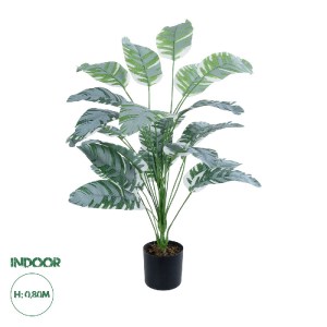 glo-20919-20919_0 GLOBOSTAR® ARTIFICIAL GARDEN BANANA ZEBRA PLANT 20919 - ΔΙΑΚΟΣΜΗΤΙΚΟ ΦΥΤΟ ΜΠΑΝΑΝΙΑ ΖΕΒΡΑ Φ