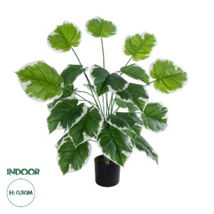 glo-20920-20920_0 GLOBOSTAR® ARTIFICIAL GARDEN WHITE HOSTA PLANT 20920 ΔΙΑΚΟΣΜΗΤΙΚΟ ΦΥΤΟ ΛΕΥΚΗ ΧΟΣΤΑ Φ87 X Υ