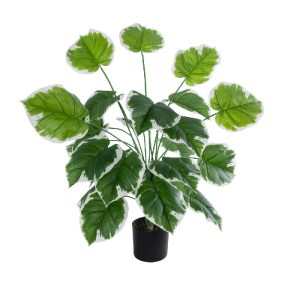 glo-20920-20920_2 GLOBOSTAR® ARTIFICIAL GARDEN WHITE HOSTA PLANT 20920 ΔΙΑΚΟΣΜΗΤΙΚΟ ΦΥΤΟ ΛΕΥΚΗ ΧΟΣΤΑ Φ87 X Υ