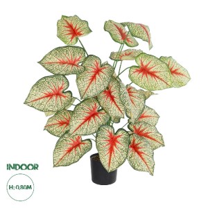 glo-20921-20921_0 GLOBOSTAR® ARTIFICIAL GARDEN CALADIUM PLANT 20921 ΔΙΑΚΟΣΜΗΤΙΚΟ ΦΥΤΟ ΚΑΛΑΝΤΙΟΥΜ Φ75 X Υ80CM