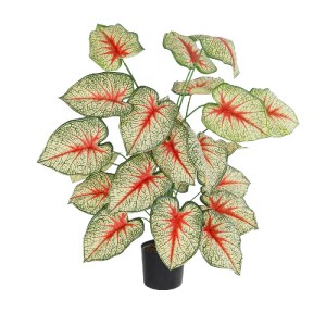 glo-20921-20921_2 GLOBOSTAR® ARTIFICIAL GARDEN CALADIUM PLANT 20921 ΔΙΑΚΟΣΜΗΤΙΚΟ ΦΥΤΟ ΚΑΛΑΝΤΙΟΥΜ Φ75 X Υ80CM