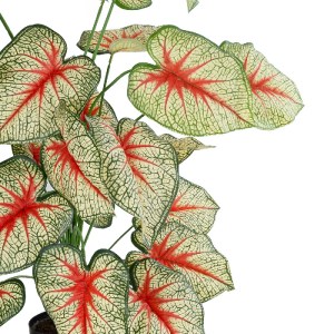 glo-20921-20921_3 GLOBOSTAR® ARTIFICIAL GARDEN CALADIUM PLANT 20921 ΔΙΑΚΟΣΜΗΤΙΚΟ ΦΥΤΟ ΚΑΛΑΝΤΙΟΥΜ Φ75 X Υ80CM