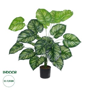 glo-20922-20922_0 GLOBOSTAR® ARTIFICIAL GARDEN CALATHEA PLANT 20922 ΔΙΑΚΟΣΜΗΤΙΚΟ ΦΥΤΟ ΚΑΛΑΘΕΑ Φ70 X Υ80CM