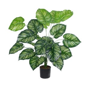 glo-20922-20922_2 GLOBOSTAR® ARTIFICIAL GARDEN CALATHEA PLANT 20922 ΔΙΑΚΟΣΜΗΤΙΚΟ ΦΥΤΟ ΚΑΛΑΘΕΑ Φ70 X Υ80CM