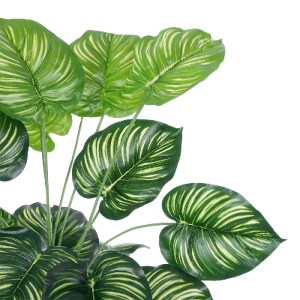 glo-20922-20922_3 GLOBOSTAR® ARTIFICIAL GARDEN CALATHEA PLANT 20922 ΔΙΑΚΟΣΜΗΤΙΚΟ ΦΥΤΟ ΚΑΛΑΘΕΑ Φ70 X Υ80CM