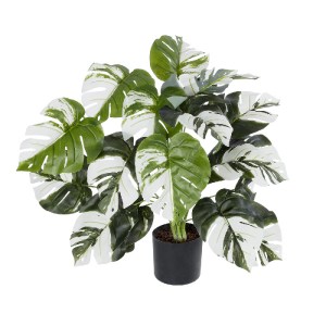 glo-20925-20925_2 GLOBOSTAR® ARTIFICIAL GARDEN ALBINO MONSTERA PLANT 20925 - ΔΙΑΚΟΣΜΗΤΙΚΟ ΦΥΤΟ ΛΕΥΚΗ ΜΟΝΣΤΕΡ
