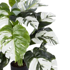 glo-20925-20925_3 GLOBOSTAR® ARTIFICIAL GARDEN ALBINO MONSTERA PLANT 20925 - ΔΙΑΚΟΣΜΗΤΙΚΟ ΦΥΤΟ ΛΕΥΚΗ ΜΟΝΣΤΕΡ