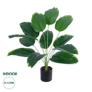 glo-20927-20927_0 GLOBOSTAR® ARTIFICIAL GARDEN BANANA PLANT 20927 - ΔΙΑΚΟΣΜΗΤΙΚΟ ΦΥΤΟ ΜΠΑΝΑΝΙΑ Φ70 X Υ55CM