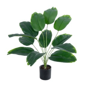 glo-20927-20927_2 GLOBOSTAR® ARTIFICIAL GARDEN BANANA PLANT 20927 - ΔΙΑΚΟΣΜΗΤΙΚΟ ΦΥΤΟ ΜΠΑΝΑΝΙΑ Φ70 X Υ55CM