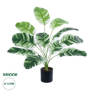 glo-20929-20929_0 GLOBOSTAR® ARTIFICIAL GARDEN BANANA PLANT ZEBRA 20929 - ΔΙΑΚΟΣΜΗΤΙΚΟ ΦΥΤΟ ΜΠΑΝΑΝΙΑ ΖΕΒΡΑ Φ