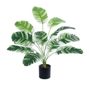 glo-20929-20929_2 GLOBOSTAR® ARTIFICIAL GARDEN BANANA PLANT ZEBRA 20929 - ΔΙΑΚΟΣΜΗΤΙΚΟ ΦΥΤΟ ΜΠΑΝΑΝΙΑ ΖΕΒΡΑ Φ