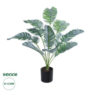 glo-20930-20930_0 GLOBOSTAR® ARTIFICIAL GARDEN BANANA PLANT ZEBRA 20930 - ΔΙΑΚΟΣΜΗΤΙΚΟ ΦΥΤΟ ΜΠΑΝΑΝΙΑ ΖΕΒΡΑ Φ