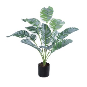glo-20930-20930_2 GLOBOSTAR® ARTIFICIAL GARDEN BANANA PLANT ZEBRA 20930 - ΔΙΑΚΟΣΜΗΤΙΚΟ ΦΥΤΟ ΜΠΑΝΑΝΙΑ ΖΕΒΡΑ Φ
