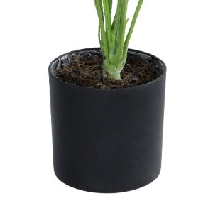 glo-20930-20930_4 GLOBOSTAR® ARTIFICIAL GARDEN BANANA PLANT ZEBRA 20930 - ΔΙΑΚΟΣΜΗΤΙΚΟ ΦΥΤΟ ΜΠΑΝΑΝΙΑ ΖΕΒΡΑ Φ
