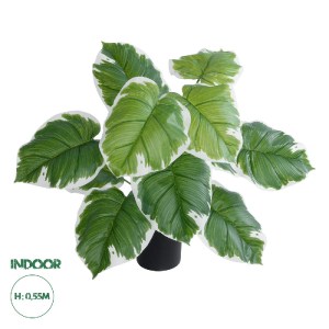 glo-20931-20931_0 GLOBOSTAR® ARTIFICIAL GARDEN WHITE HOSTA PLANT 20931 ΔΙΑΚΟΣΜΗΤΙΚΟ ΦΥΤΟ ΛΕΥΚΗ  ΧΟΣΤΑ Φ60 X 