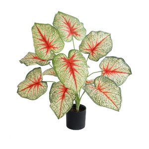 glo-20932-20932_2 GLOBOSTAR® ARTIFICIAL GARDEN CALADIUM PLANT 20932 ΔΙΑΚΟΣΜΗΤΙΚΟ ΦΥΤΟ ΚΑΛΑΝΤΙΟΥΜ Φ58 X Υ55CM