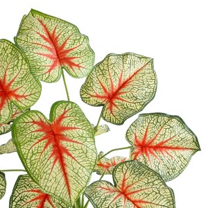 glo-20932-20932_3 GLOBOSTAR® ARTIFICIAL GARDEN CALADIUM PLANT 20932 ΔΙΑΚΟΣΜΗΤΙΚΟ ΦΥΤΟ ΚΑΛΑΝΤΙΟΥΜ Φ58 X Υ55CM
