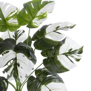 glo-20935-20935_3 GLOBOSTAR® ARTIFICIAL GARDEN ALBINO MONSTERA PLANT 20935 - ΔΙΑΚΟΣΜΗΤΙΚΟ ΦΥΤΟ ΛΕΥΚΗ ΜΟΝΣΤΕΡ