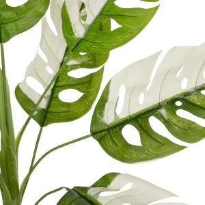 glo-20938-20938_3.webp GLOBOSTAR® ARTIFICIAL GARDEN ALBINO MONSTERA 20938 ΤΕΧΝΗΤΟ ΔΙΑΚΟΣΜΗΤΙΚΟ ΦΥΤΟ ΠΡΑΣΙΝΗ & ΛΕΥ