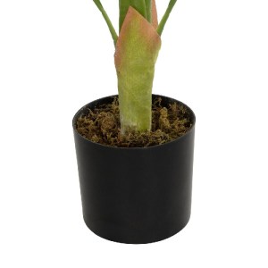 glo-20938-20938_4.webp GLOBOSTAR® ARTIFICIAL GARDEN ALBINO MONSTERA 20938 ΤΕΧΝΗΤΟ ΔΙΑΚΟΣΜΗΤΙΚΟ ΦΥΤΟ ΠΡΑΣΙΝΗ & ΛΕΥ