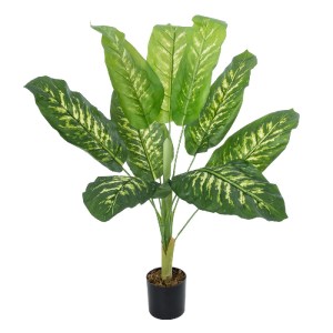 glo-20940-20940_2 GLOBOSTAR® ARTIFICIAL GARDEN CALATHEA PLANT 20940 ΔΙΑΚΟΣΜΗΤΙΚΟ ΦΥΤΟ ΚΑΛΑΘΕΑ Φ80 X Υ90CM