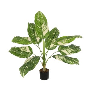 glo-20941-20941_2.webp GLOBOSTAR® ARTIFICIAL GARDEN DIEFFENBACHIA 20941 ΤΕΧΝΗΤΟ ΔΙΑΚΟΣΜΗΤΙΚΟ ΦΥΤΟ ΠΡΑΣΙΝΗ & ΜΠΕΖ 