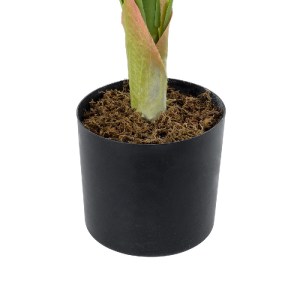 glo-20943-20943_4 GLOBOSTAR® ARTIFICIAL GARDEN WHITE ZEBRA PLANT 20943 ΤΕΧΝΗΤΟ ΔΙΑΚΟΣΜΗΤΙΚΟ ΦΥΤΟ ΛΕΥΚΗ ΖΕΒΡΑ