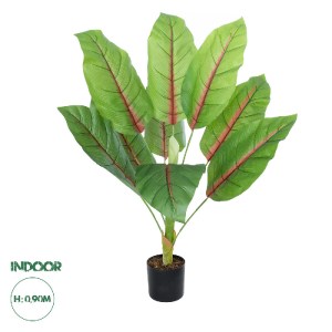 glo-20944-20944_0 GLOBOSTAR® ARTIFICIAL GARDEN BLOOD BANANA PLANT 20944 - ΔΙΑΚΟΣΜΗΤΙΚΟ ΦΥΤΟ ΑΙΜΑΤΟΦΥΛΛΗ ΜΠΑΝ