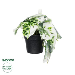 glo-20946-20946_0 GLOBOSTAR® ARTIFICIAL GARDEN ALBINO MONSTERA PLANT 20946 - ΔΙΑΚΟΣΜΗΤΙΚΟ ΦΥΤΟ ΜΟΝΣΤΕΡΑ Φ23 