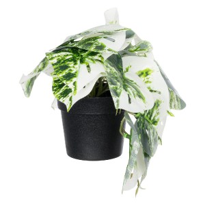 glo-20946-20946_2 GLOBOSTAR® ARTIFICIAL GARDEN ALBINO MONSTERA PLANT 20946 - ΔΙΑΚΟΣΜΗΤΙΚΟ ΦΥΤΟ ΜΟΝΣΤΕΡΑ Φ23 