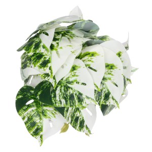 glo-20946-20946_4 GLOBOSTAR® ARTIFICIAL GARDEN ALBINO MONSTERA PLANT 20946 - ΔΙΑΚΟΣΜΗΤΙΚΟ ΦΥΤΟ ΜΟΝΣΤΕΡΑ Φ23 