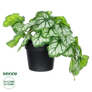 glo-20947-20947_0 GLOBOSTAR® ARTIFICIAL GARDEN WHITE BEGONIA PLANT 20947 ΔΙΑΚΟΣΜΗΤΙΚΟ ΦΥΤΟ ΛΕΥΚΗ ΜΠΙΓΟΝΙΑ Φ2