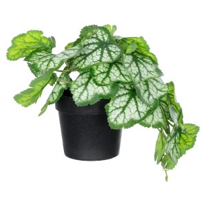 glo-20947-20947_2 GLOBOSTAR® ARTIFICIAL GARDEN WHITE BEGONIA PLANT 20947 ΔΙΑΚΟΣΜΗΤΙΚΟ ΦΥΤΟ ΛΕΥΚΗ ΜΠΙΓΟΝΙΑ Φ2